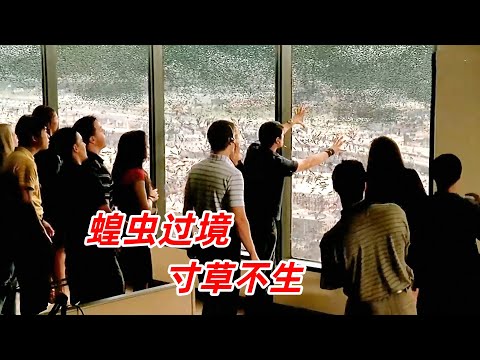 【阿奇】變異蝗蟲繁殖力驚人，分分鐘吞噬一座城市/末日驚悚片《極度驚蝗》