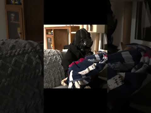 Behind the Scenes of WHAT... is a Cyberpunk #gaming #helpmemakethismakesense #cyberpunk2077 #cat