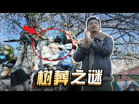 第264集 天堂的孩子---探秘白玉树葬之谜｜冒险雷探长Lei's adventure