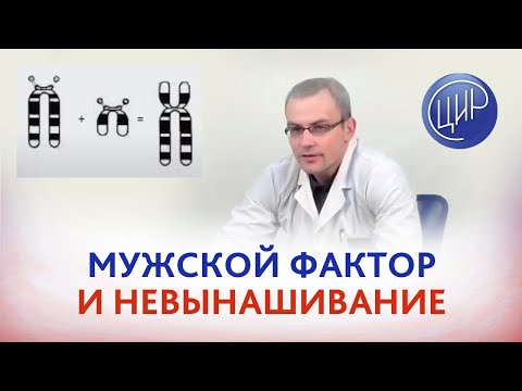 Male factor in miscarriage 2. Live broadcast with urologist-andrologist CIR Zhivulko A.R.