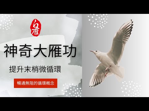 大雁功：迅速提升微循環，告別疲憊