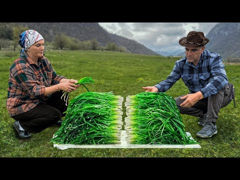 Mountain Foraging & Campfire Kutabs – A Rustic Village Tradition