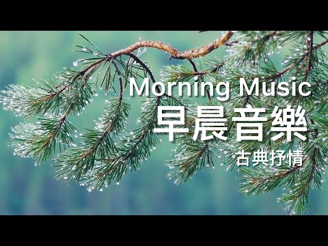 早晨輕音樂Morning Music | 枝葉搖曳，古典旋律如小雨輕灑，助您放鬆減壓，抒情動人的輕音樂 | #輕音樂 #放鬆音樂 #療癒 #冥想 #睡眠 #softmusic 
