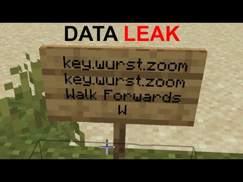 How Minecraft Servers spied on Players with a Sign?