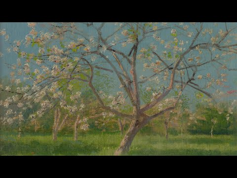 a playlist for reflective moments while enjoying the calm of the morning