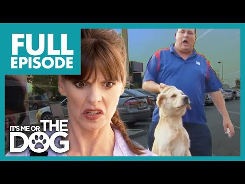 Is Abusive Owner Gonna Learn to Love His Dog?😢 | Full Episode | It's Me or the Dog