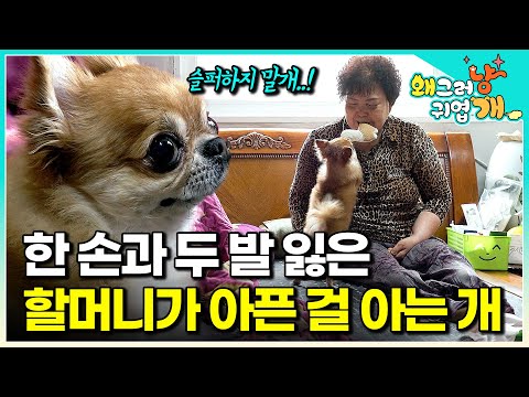 "When I was about to give up on life, this guy saved me." Tragedy struck a grandmother who was en...