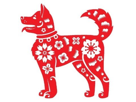 屬狗者：2026全年收藏級運勢全解析！