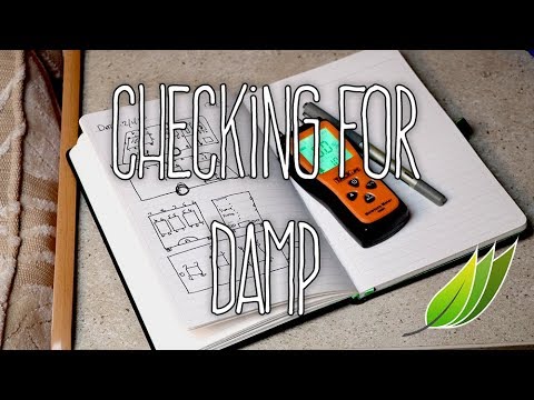 How to check the caravan for damp
