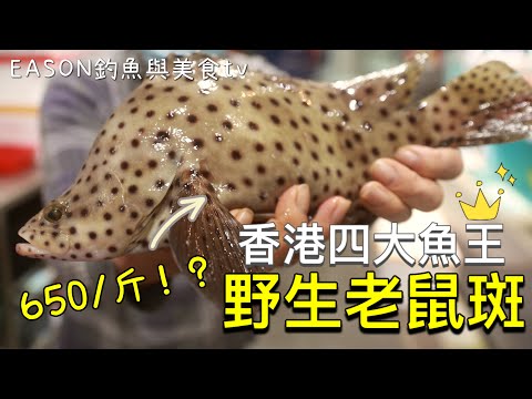 新年食好D︱有的說天上有地下無一樣 有些人卻說不好吃 650/斤 的香港四大魚王 野生老鼠斑好吃嗎？
