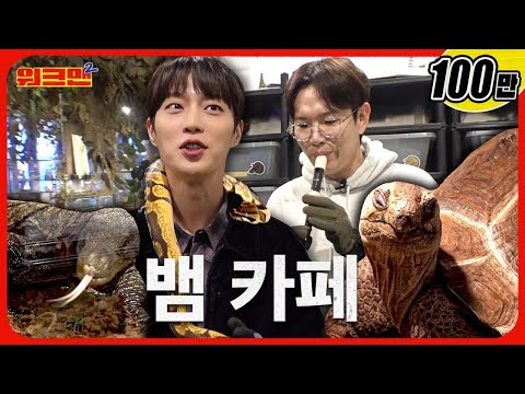 Snake + Snake Zodiac Doojoon + Snake-tongued Sung-kyu! 🐍 | Yoon Doojoon | Snake Cafe | Workman 2