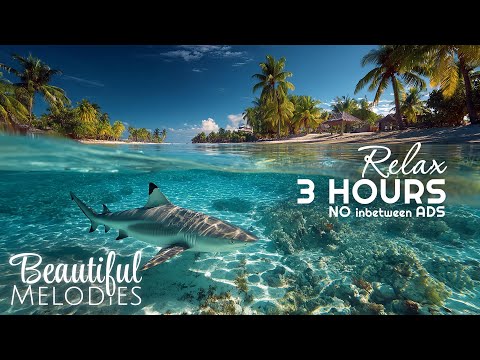 Restore Your Nervous System 🌿 Relaxing Music & Nature Sounds for Deep Sleep & Stress Relief