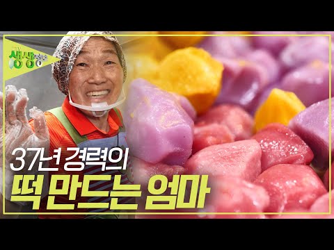 16살에 시집와 손에 물 마를 날이 없이 힘들게 살았던 지난 세월... 37년 경력 떡 만드는 엄마의 인생이야기 [2TV 생생정보] | KBS 230920 방송