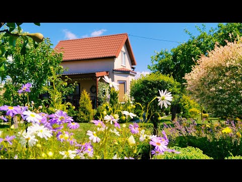 🌿🌼Декоративный Огород🌿🌼Буйство красок. Цветы. Овощи  #огород #цветы