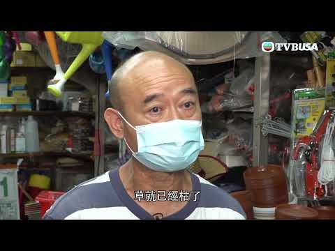 東張西望 | 五條人命換一間屋？屋主住著48年后發現的秘密... | TVBUSA | 民生 | 意外