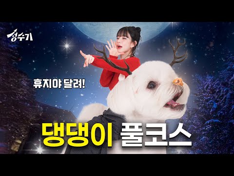 프로미스나인 채영의 최애 이휴지 등장? 내향인과 내향견의 크리스마스 데이트 [성수기 EP.21] l 크리스마스 l 반려동물 l 펫다이닝 l 강아지 커플 사진