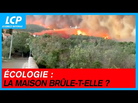Écologie : la maison brûle-t-elle ? | Chaque voix compte - 14/11/2025
