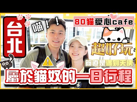 【台北🐈行程攻略】🐱超好玩😍屬於貓奴的一日行程🥰｜😱80貓cafe-貓谷😻｜貓貓雪糕🍦｜🚠貓空纜車￼夜景🌃｜全是貓的一天🥹｜貓奴絕對❌不能錯過🐈🐈‍⬛🐈🐈‍⬛🐈🐈‍⬛