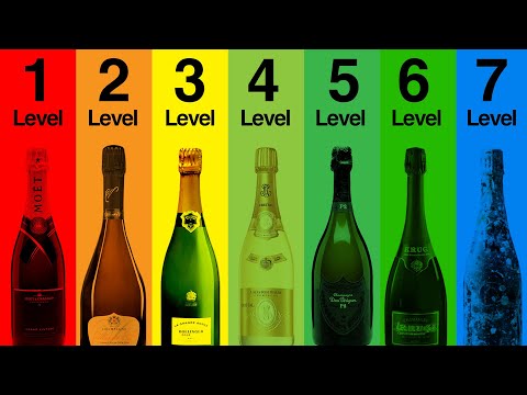 The 7 Levels of Champagne