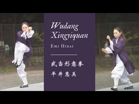 Wudang Xingyiquan  武当形意拳
