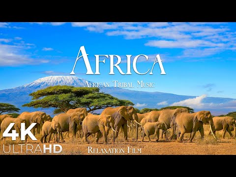 Africa 4K • Nature Relaxation Film – Wildlife & Tribal Music | 4K Ultra HD
