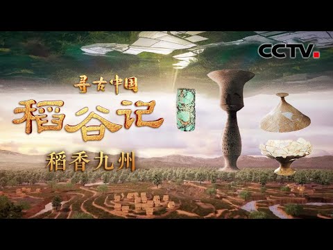 3000年前中国稻谷漂洋过海到了哪儿？跟随考古足迹，追寻稻谷传播之路！《稻谷记·稻香九州》| CCTV「寻古中国」20230818