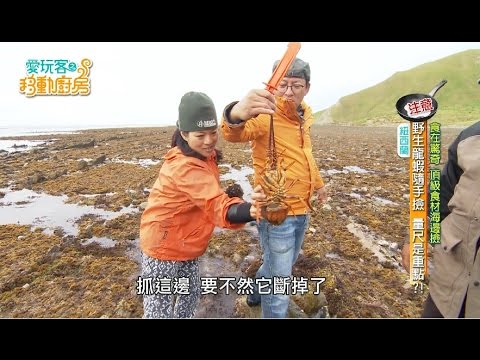 【紐西蘭】無法相信野味可以這麼高級！！愛玩客現抓現吃，因為料理讓我們相聚在一起GO【愛玩客之移動的廚房】#248