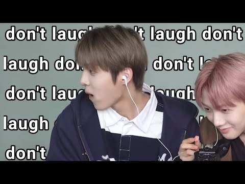 ALL(H)OURS moments in celebration of their 50th anniversary