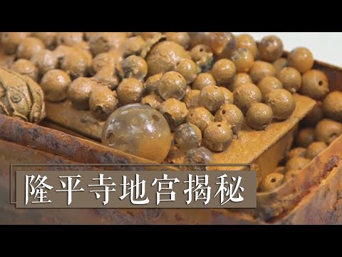 神秘地宫重见天日！不起眼的铜质小瓶里竟然发现水晶质地舍利！《2018考古探奇》 第一季 《隆平寺地宫揭秘》| 中华国宝