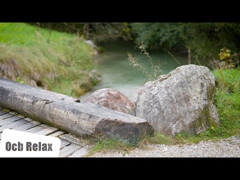 Soothing Sleep Music with Water Sounds: Adam | Relaxing Piano Music, Meditation Music