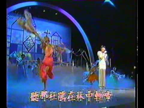 鳳飛飛~1991年金馬獎晚會