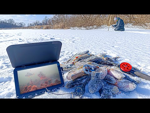 PERCH DISTRIBUTION ON CAMERA. 🐟 Winter fishing with bait and balancers.
