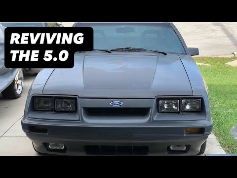Diagnosing Why This 1986 Mustang GT Is Running Rough