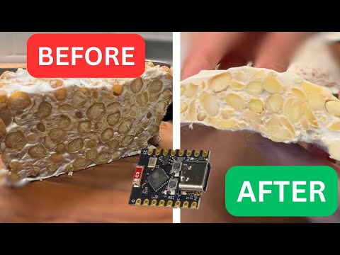 From Good to Perfect: Building a Smart Fermentation Chamber