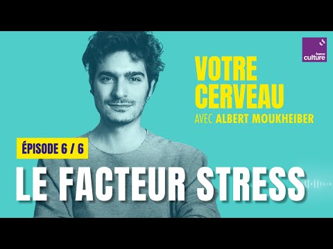 Votre cerveau perd les pédales : le facteur stress, avec Albert Moukheiber (6/6) | saison 1