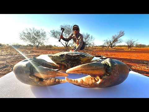 Capturando PECES Y CANGREJOS MONSTRUOSOS con Técnicas Primitivas – Cocinando a leña