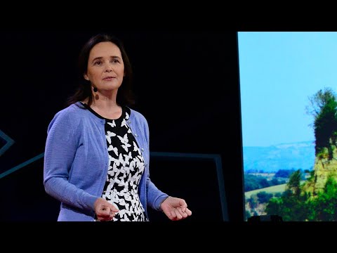 Using biophilic design to heal body, mind, and soul