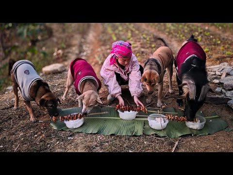 Gardening in the mountains, cooking warm meals for the dogs and goats. - ha thi muon