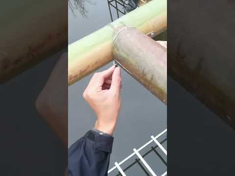 Wood fixes the structure! Very strong【Water Dweller】