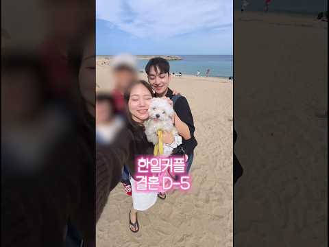 한국여자한테 장가오기 5일 전...🇯🇵아직 기회는 남아있다? #shorts #국제커플 #한일커플 #결혼