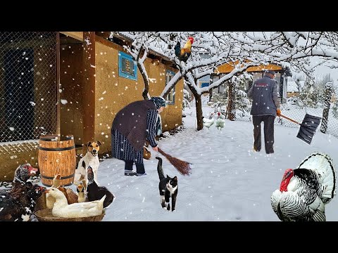 It's snowing ❄️ Grandma is cooking three incredibly delicious dishes