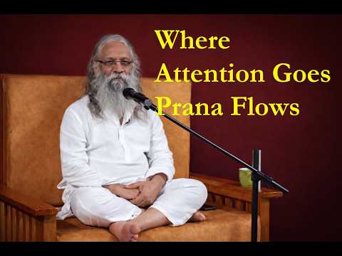 Where Attention Goes, Prana Flows