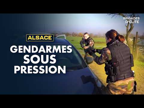 Arrestations musclées, violence : les Gendarmes d'Alsace sur tous les fronts