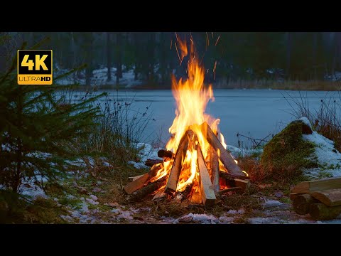 Winter Campfire by the Forest βοΈ Natural Scenery for Relaxation