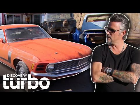 Richard Rawlings Acquires 4 Super Rare Ford Mustangs For $65,000! | Fast N' Loud