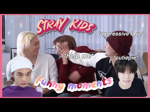 More STRAY KIDS moments bc they're actually โจCOMEDIANS โจ