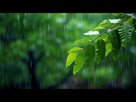 [두뇌력] 뇌세포 활성화 - 단 한 번 듣는 것만으로 머리 좋아지는 음악 - 아침명상음악, 스트레스해소음악, 명상음악