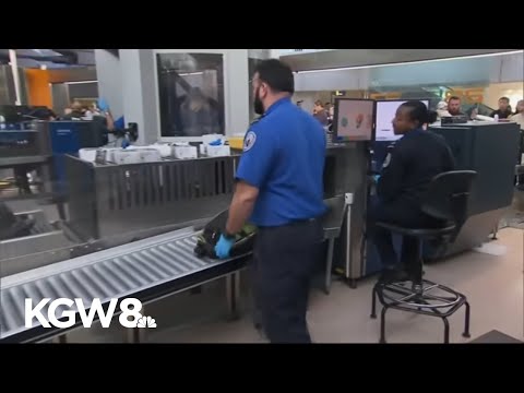 TSA agents quit as shutdown hits airport security, long lines expected