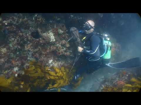 Blowing bubbles in port Macquarie