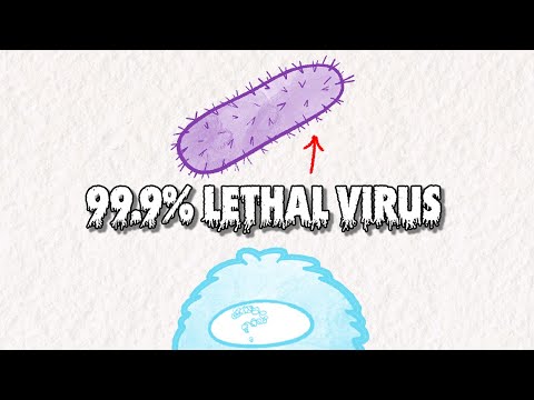 Why is Rabies so Hard for the Immune System to Kill?